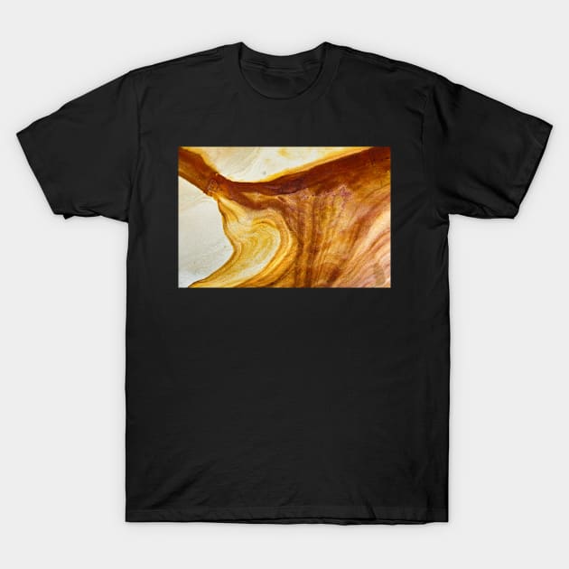 Sandstone T-Shirt by fotoWerner